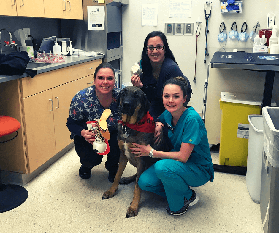 Chemotherapy nurses celebrate a patient’s graduation from chemotherapy At SCVIM, we celebrate victories for our patients, such as graduating from a chemotherapy protocol